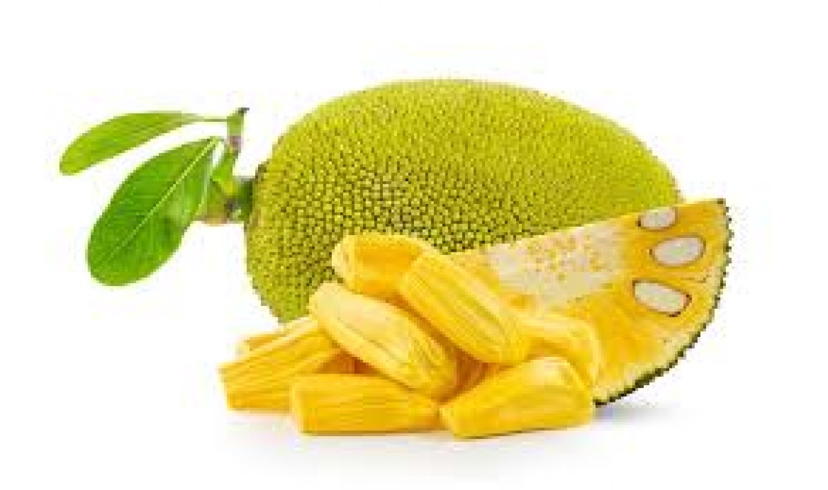 Jackfruit from Uganda